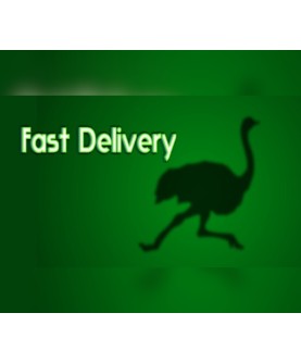 Fast Delivery Steam Steam Key GLOBAL